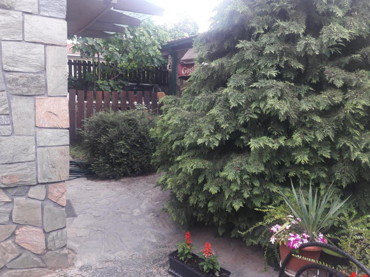 Villa Iva Escópia Exterior foto
